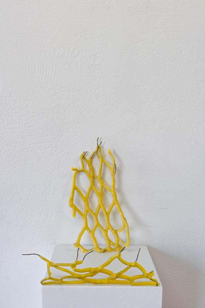 Sculpture of interlaced yellow candles