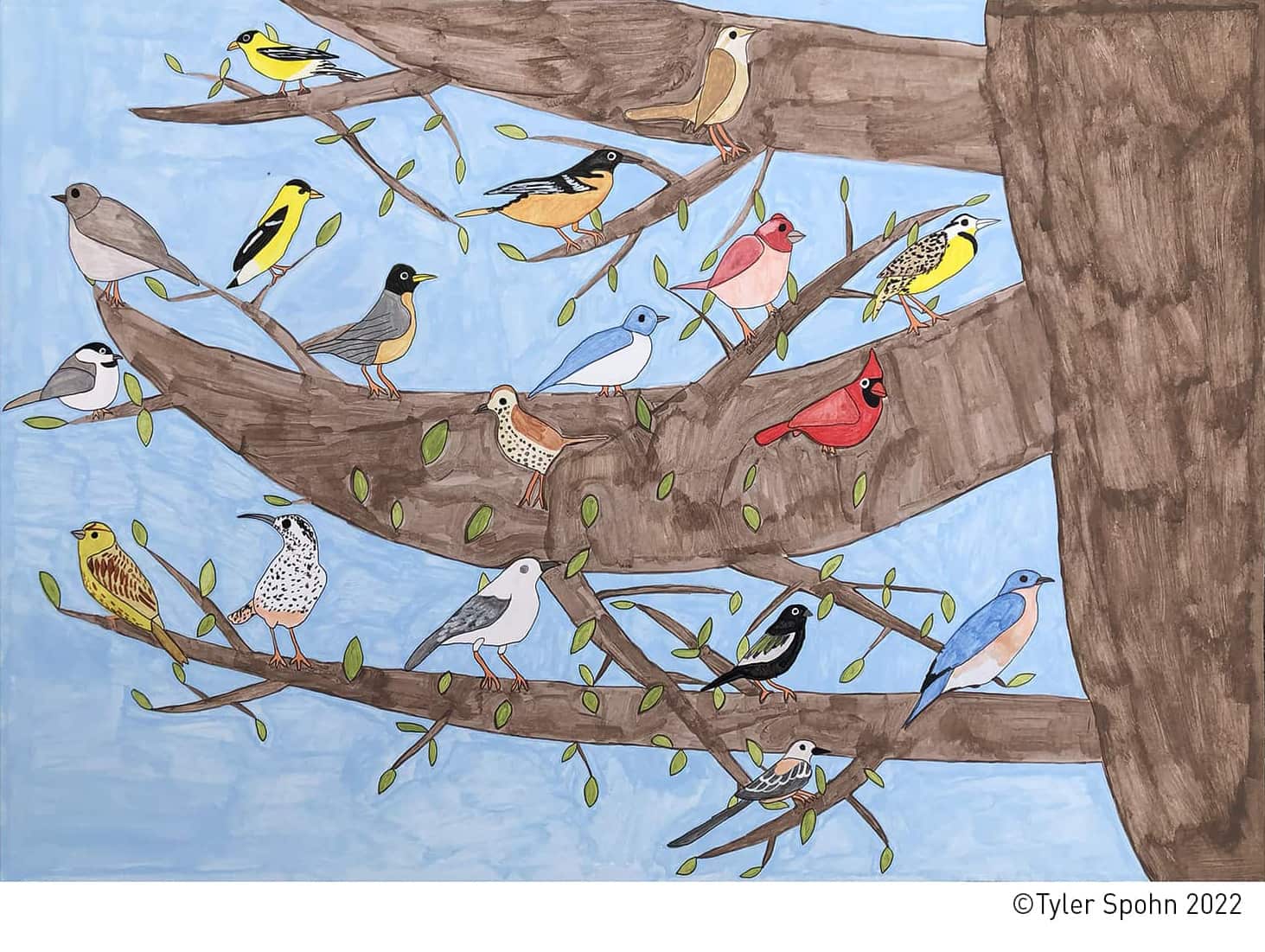 drawing of birds on tree limbs