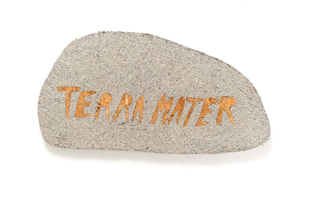 Rock with the words TERRA MATTER written in wood