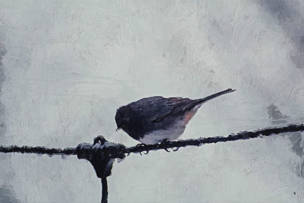 painting of bird